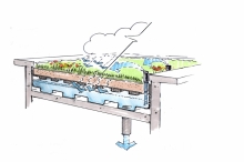 Rain City Strategy: A Green Rainwater Infrastructure And Rainwater ...